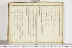 明い017010060009.jpg