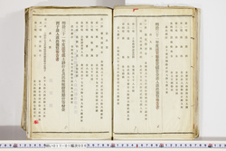 明い017010060010.jpg
