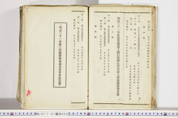 明い017010060011.jpg