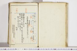 明い017010060012.jpg