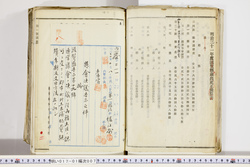 明い017010070004.jpg