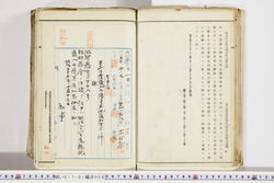 明い017010080004.jpg
