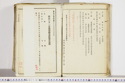 明い017010090004.jpg