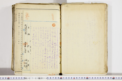 明い017010140003.jpg