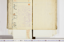 明い017010140004.jpg