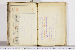明い017010140005.jpg