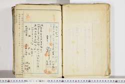 明い017010140006.jpg