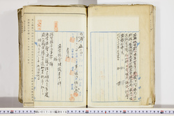 明い017010160002.jpg