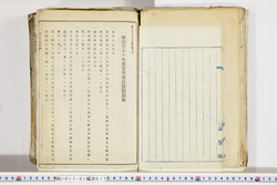 明い017010170006.jpg