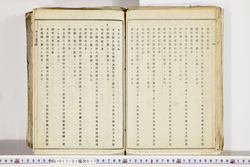 明い017010170007.jpg