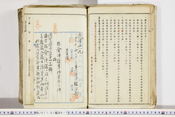 明い017010170008.jpg