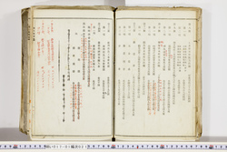 明い017010210010.jpg