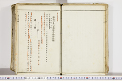 明い017010210011.jpg