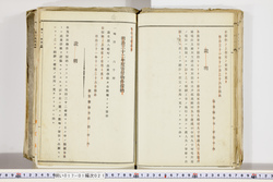 明い017010210013.jpg