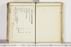 明い017010210014.jpg