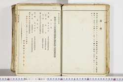 明い017010210015.jpg