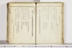 明い017010210016.jpg