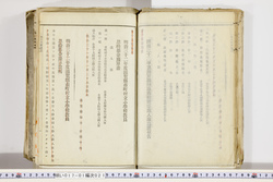 明い017010210017.jpg
