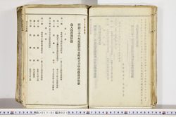 明い017010210018.jpg
