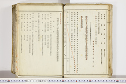 明い017010210019.jpg