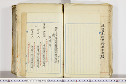 明い017010230002.jpg