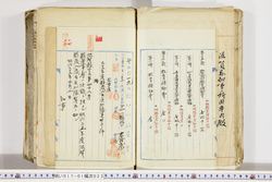 明い017010230004.jpg