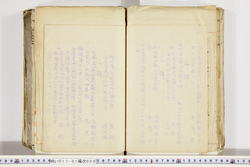 明い017010260003.jpg