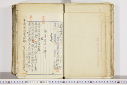 明い017010270004.jpg