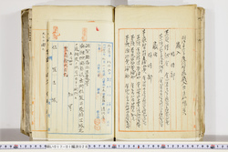 明い017010280003.jpg