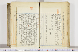 明い017010300002.jpg