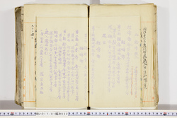 明い017010320003.jpg