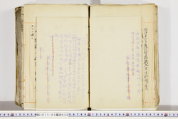 明い017010320004.jpg