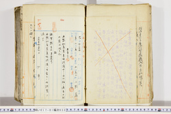 明い017010320005.jpg