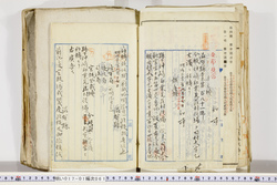 明い017010610002.jpg