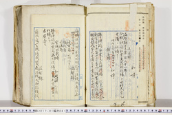 明い017010610003.jpg