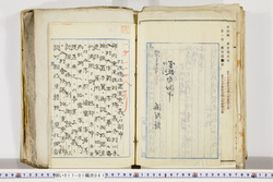 明い017010610006.jpg