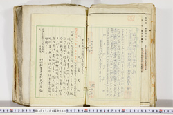 明い017010610008.jpg