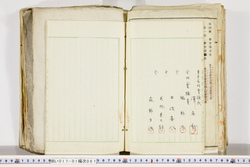 明い017010610012.jpg
