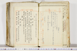 明い017010640002.jpg