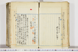 明い017010690002.jpg