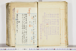 明い017010710003.jpg