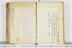 明い017010830002.jpg
