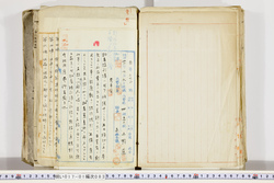 明い017010830003.jpg