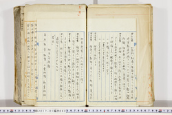 明い017010920004.jpg