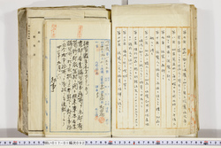 明い017010920008.jpg
