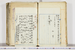 明い017011200002.jpg