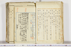 明い017011330001.jpg