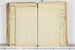 明い017011390006.jpg