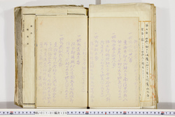 明い017011390007.jpg