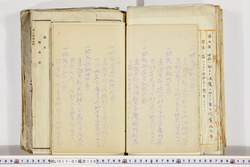 明い017011390008.jpg